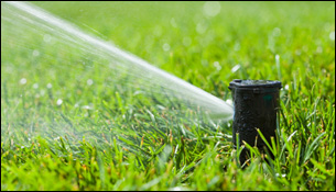 Ako trávnik zavlažovať