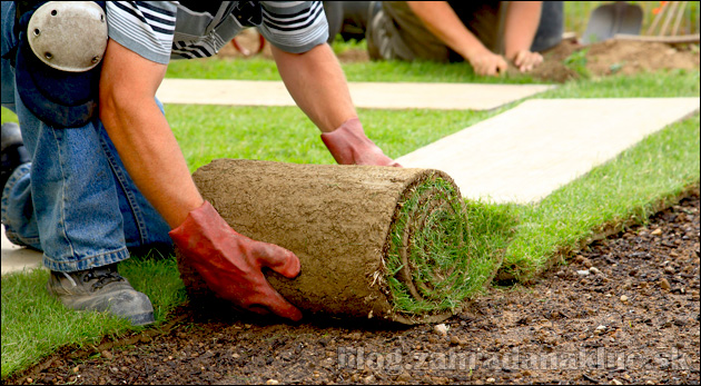 Pokládka trávnatých kobercov a následná starostlivosť