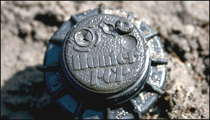 Prečo polievať navezenú zeminu?